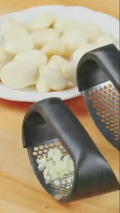 Stainless Steel Manual Garlic Press